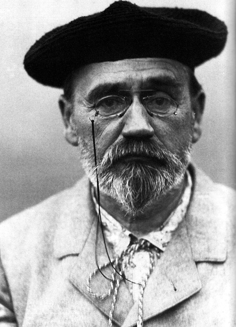 Émile Zola, Écrivain
