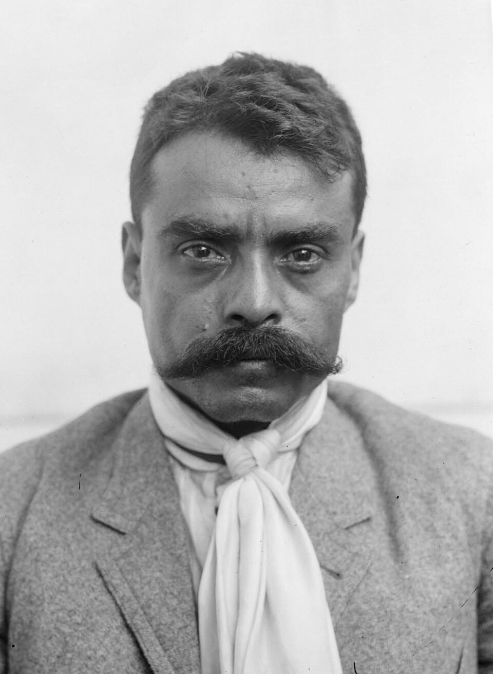 Emiliano Zapata, Personnalité politique
