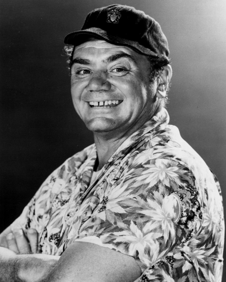 Ernest Borgnine, Acteur