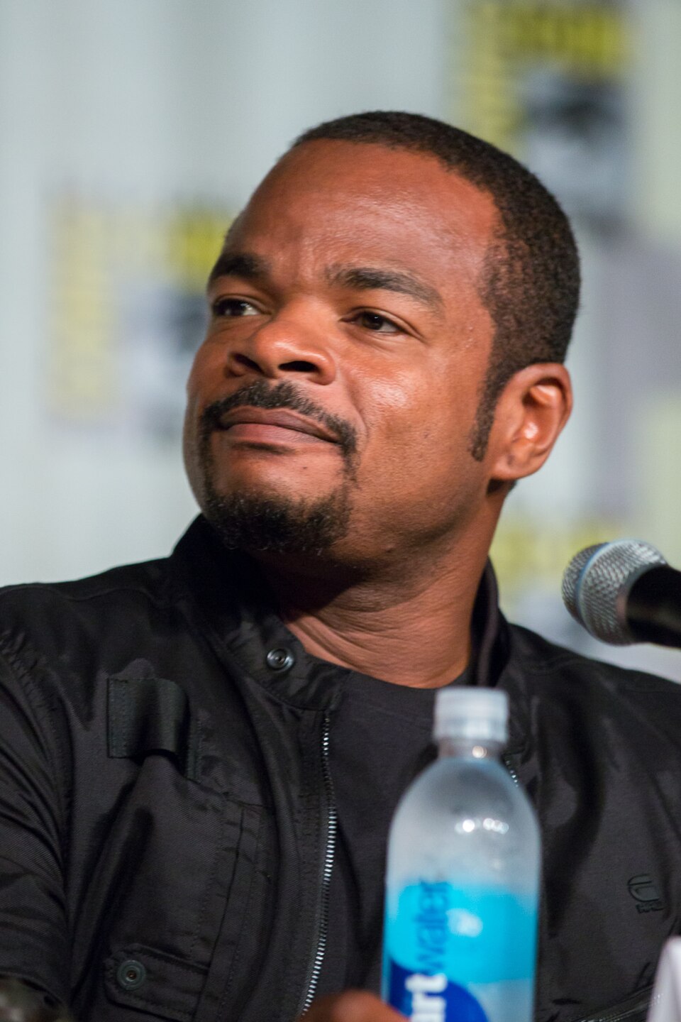 F. Gary Gray, Réalisateur