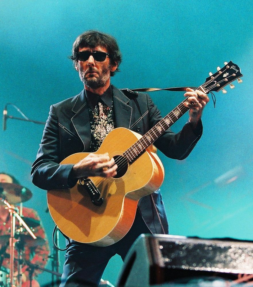 Fred Chichin, Musicien
