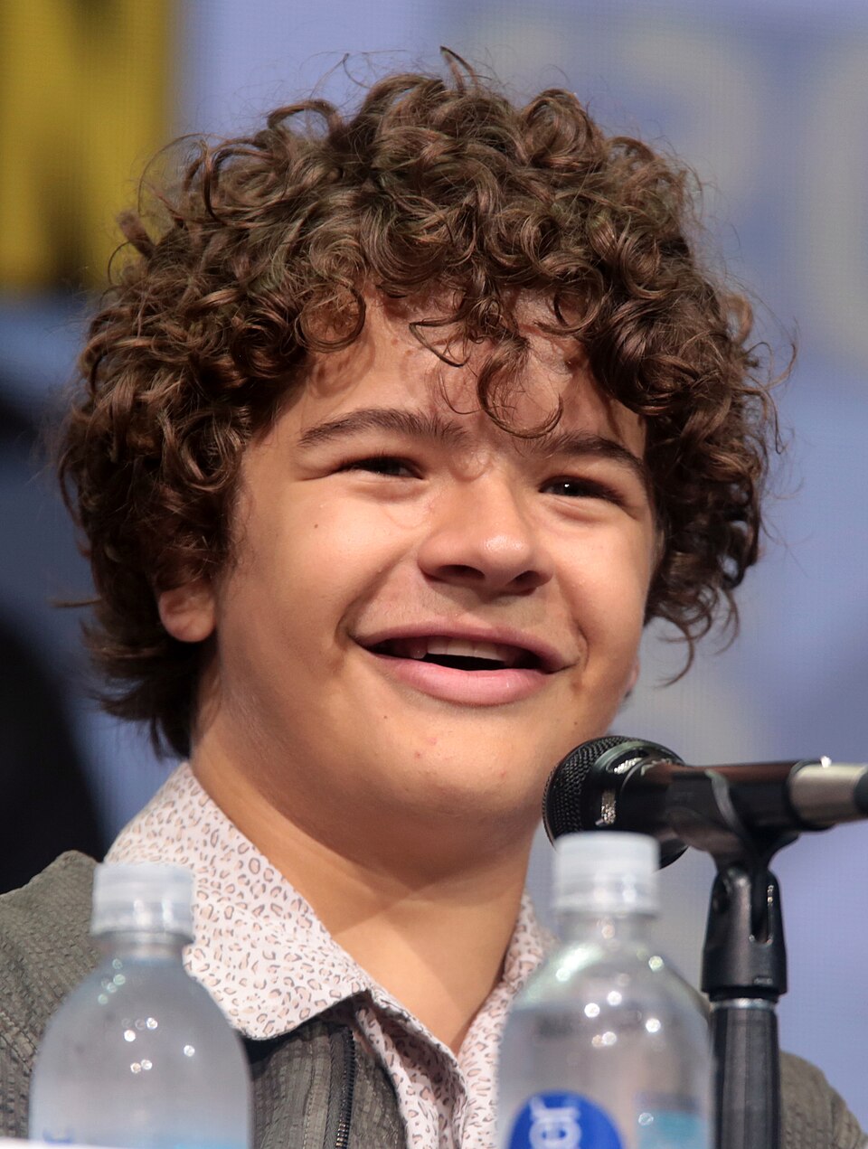 Gaten Matarazzo, Acteur