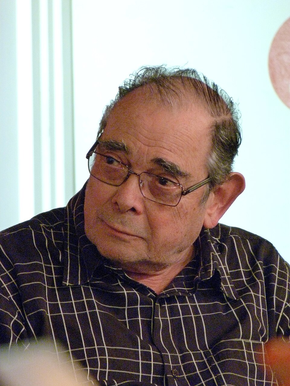 Gotlib, Écrivain