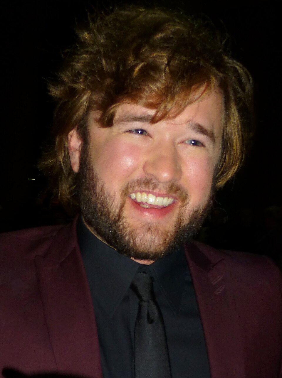 Haley Joel Osment, Acteur