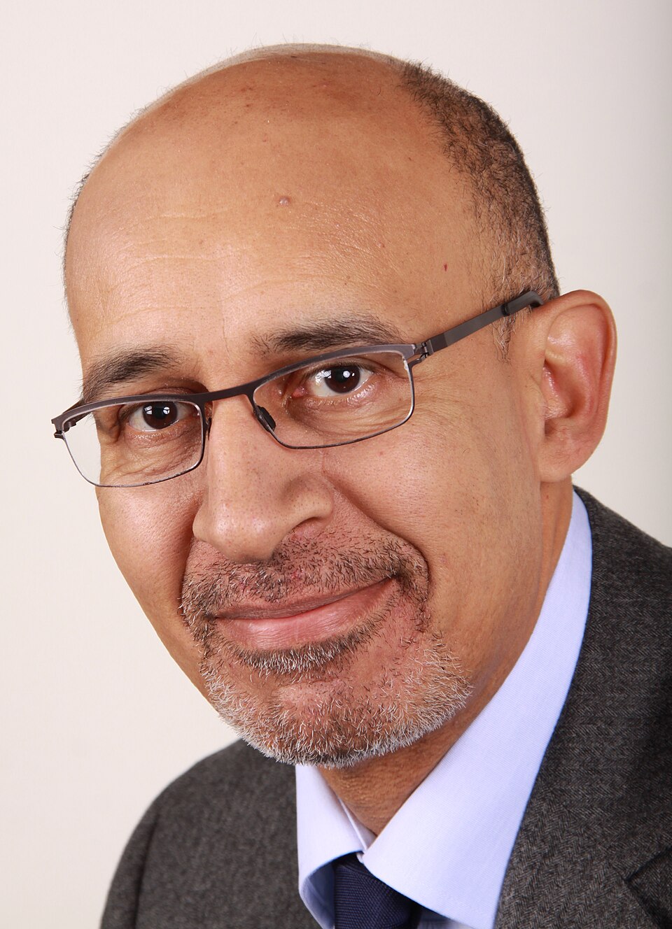 Harlem Désir, Personnalité politique