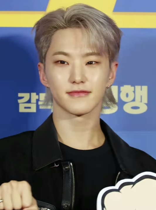 Hoshi, Chanteur