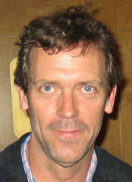 Hugh Laurie, Acteur