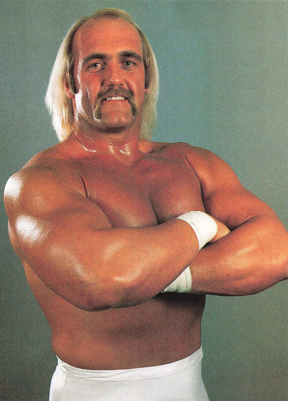 Hulk Hogan, Catcheur