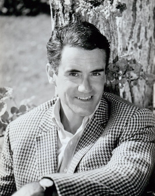 Ian Bannen, Acteur