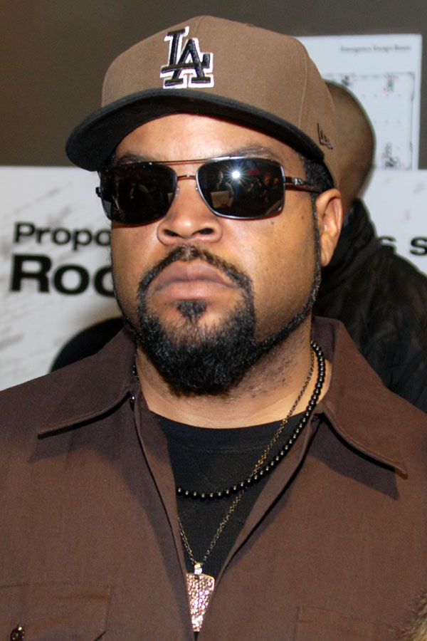 Ice Cube, Artiste