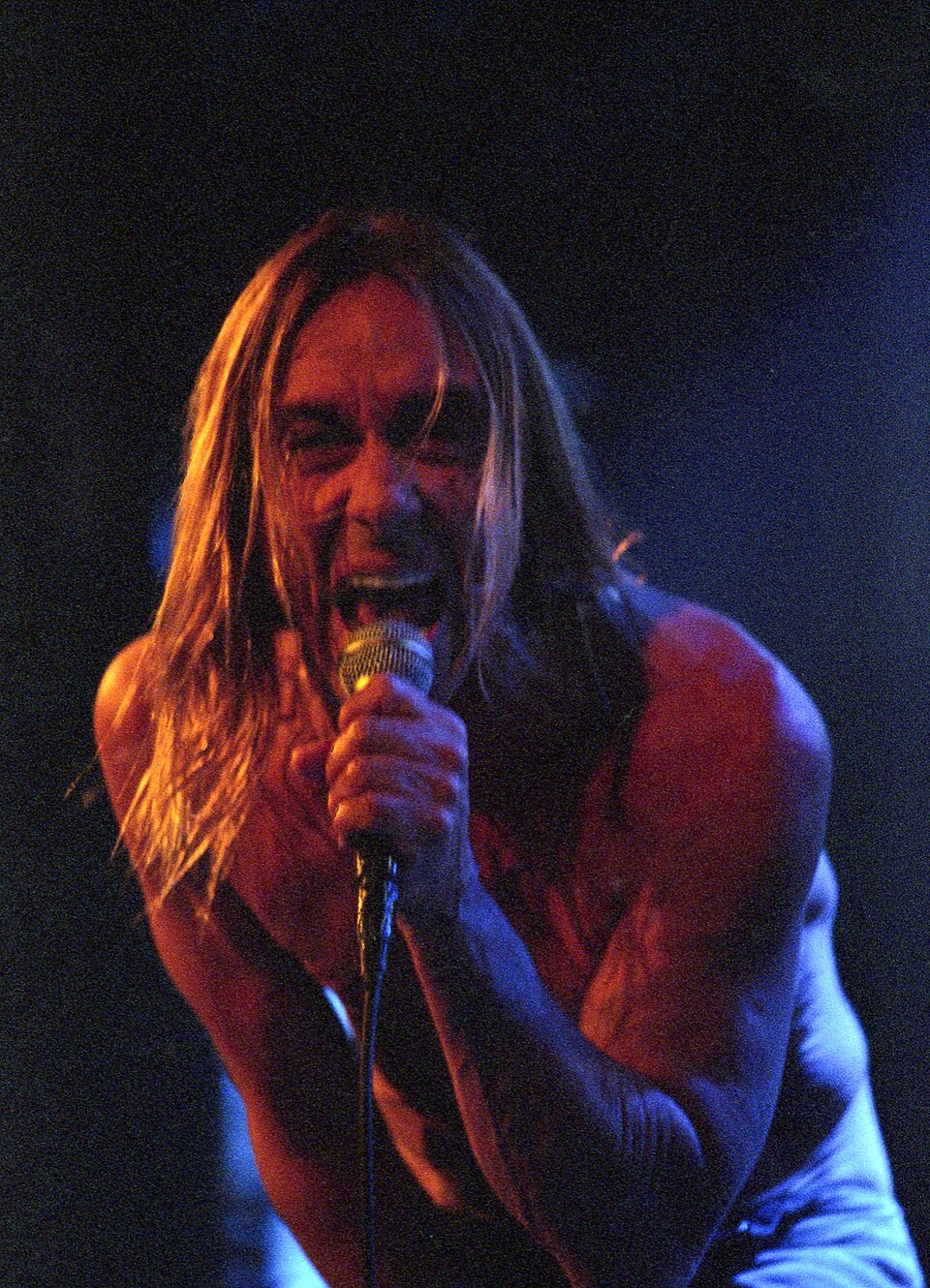 Iggy Pop, Musicien