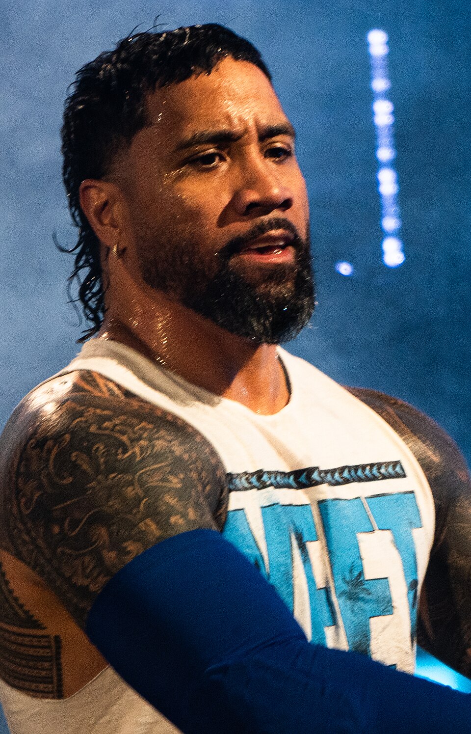 Jey Uso, Catcheur