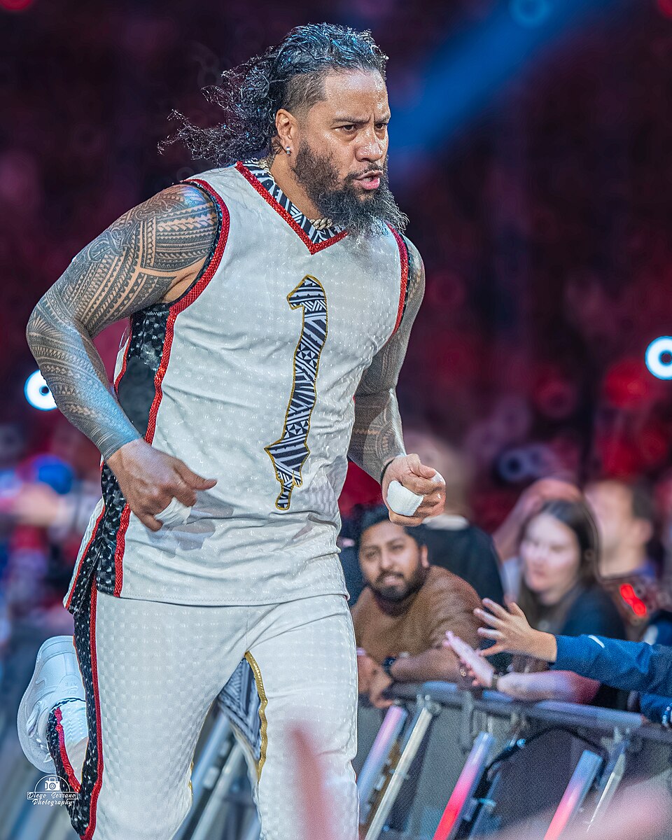 Jimmy Uso, Catcheur
