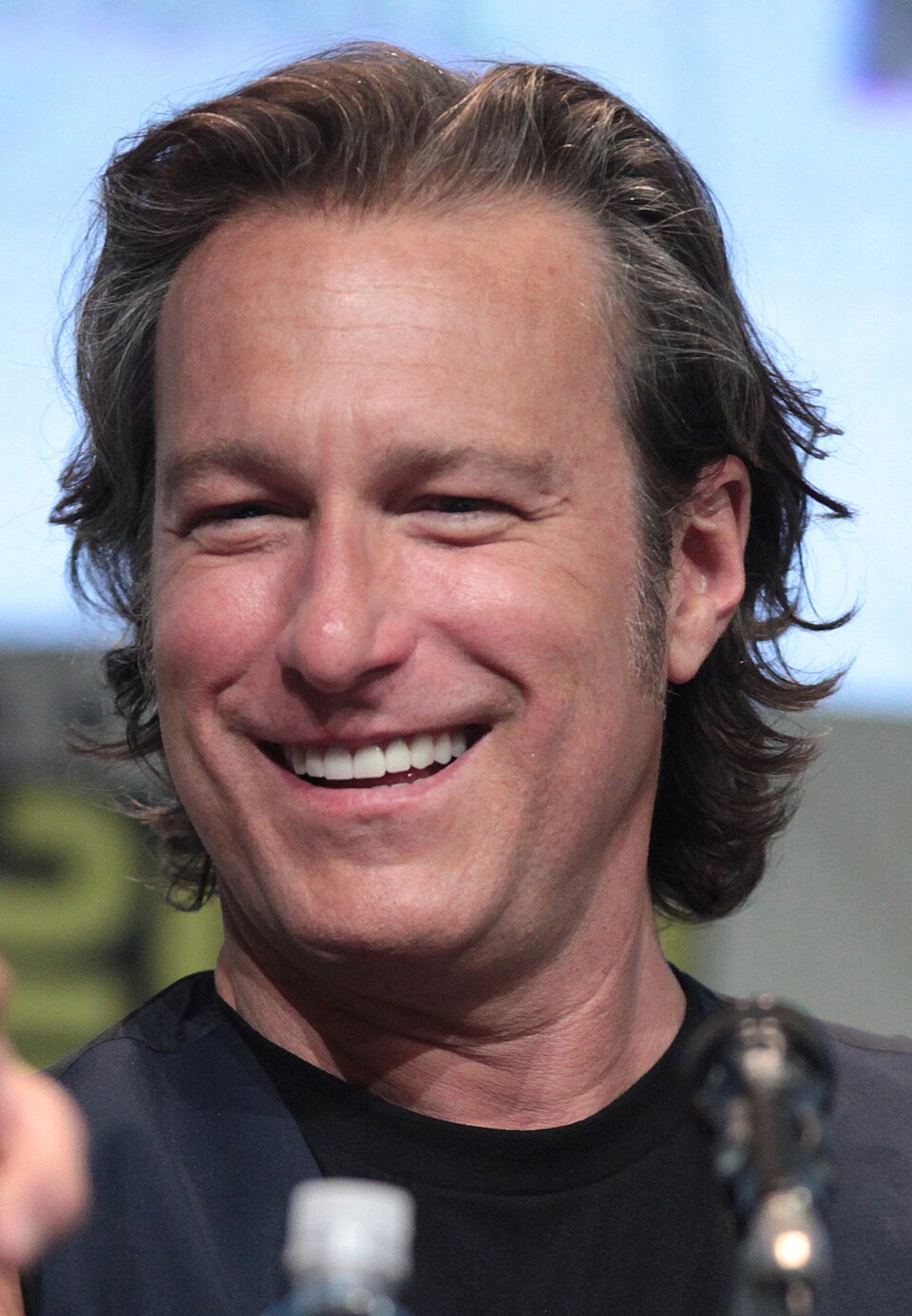 John Corbett, Acteur