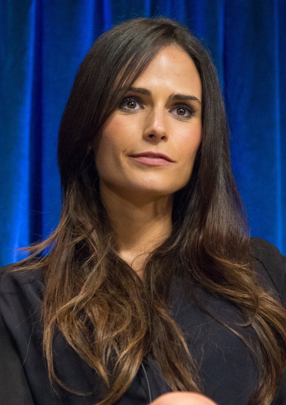Jordana Brewster, Acteur
