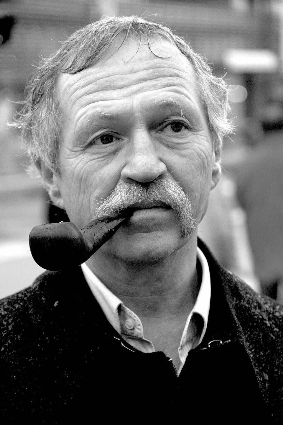 José Bové, Personnalité politique