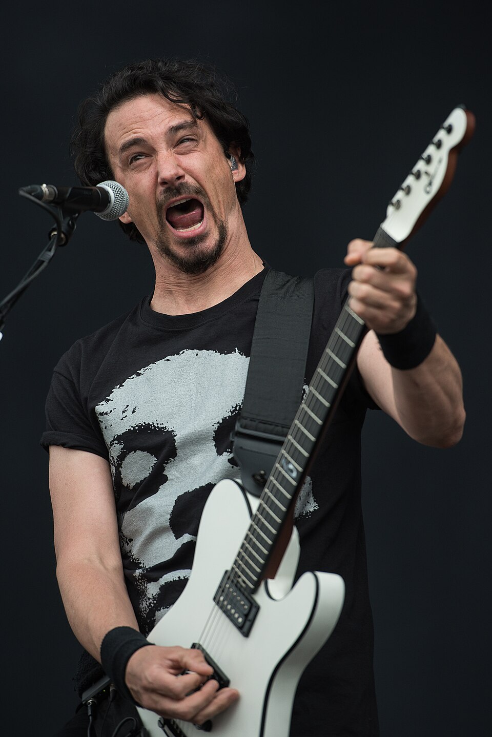 Joseph Duplantier, Musicien