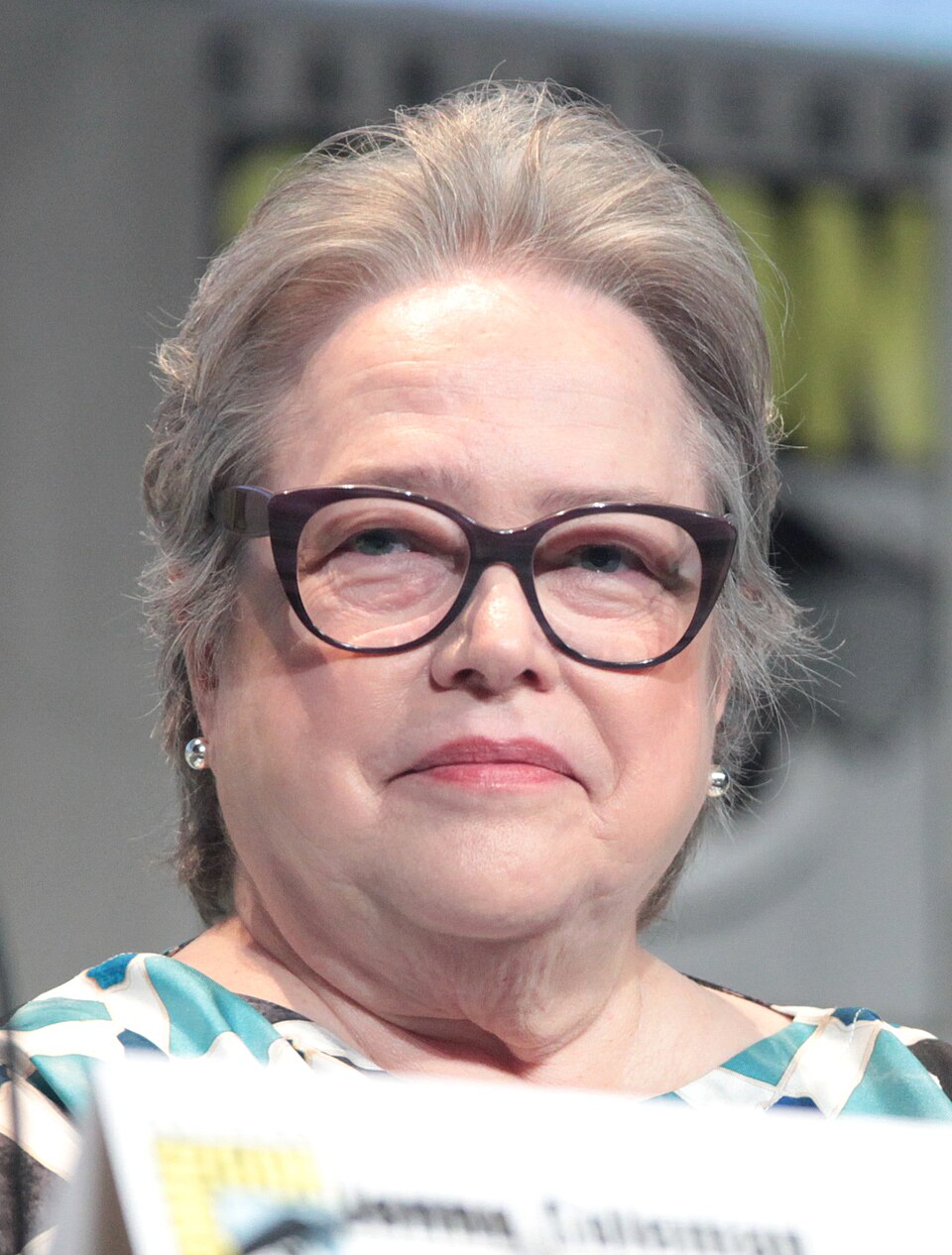 Kathy Bates, Acteur