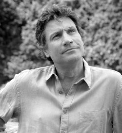 Laurent Violet, Humoriste