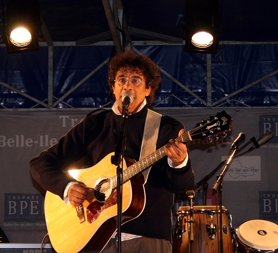 Laurent Voulzy, Chanteur