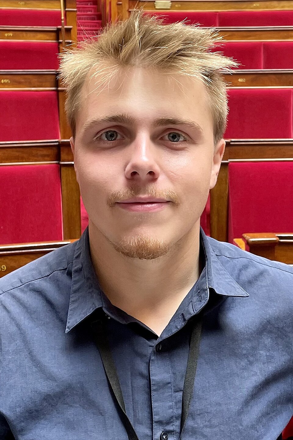 Louis Boyard, Personnalité politique