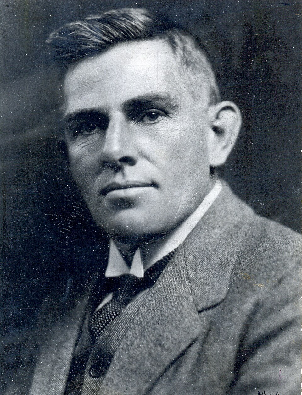 Louis Leipoldt, Écrivain