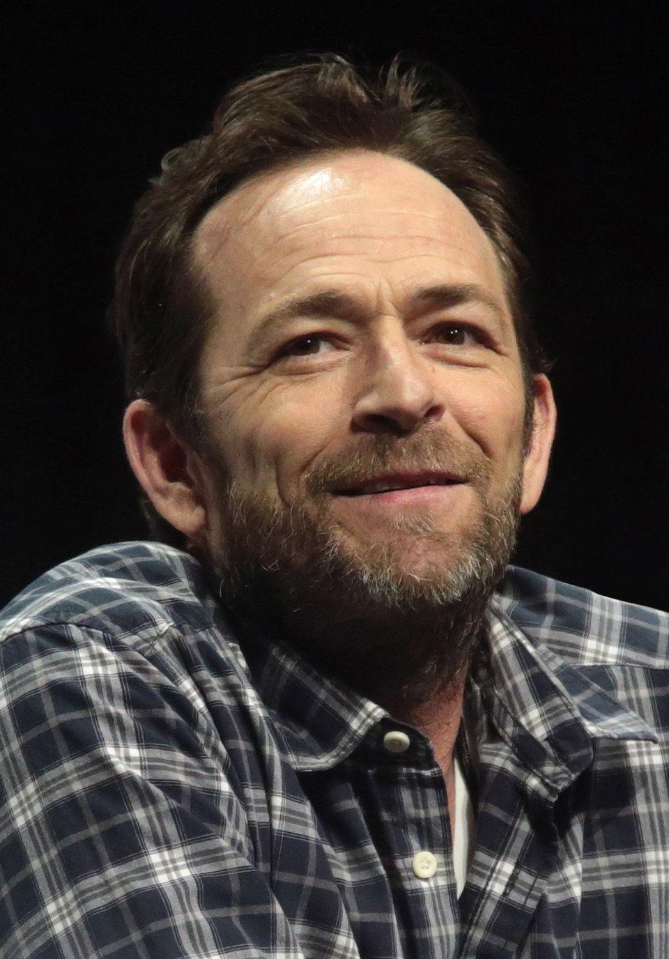 Luke Perry, Acteur