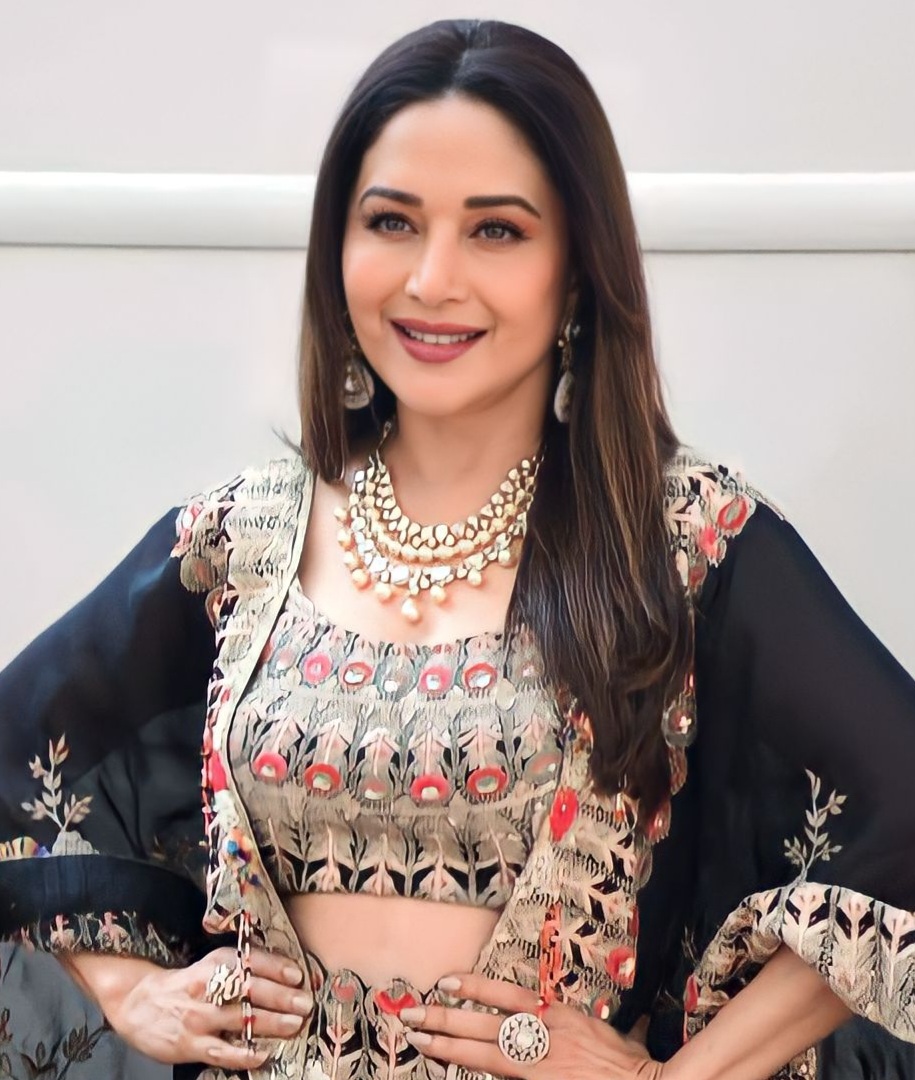 Madhuri Dixit, Acteur