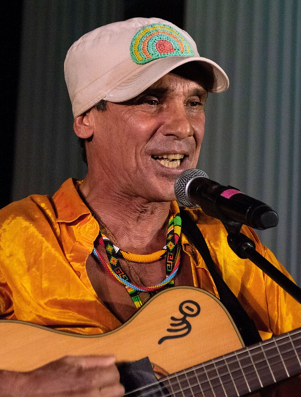 Manu Chao, Chanteur
