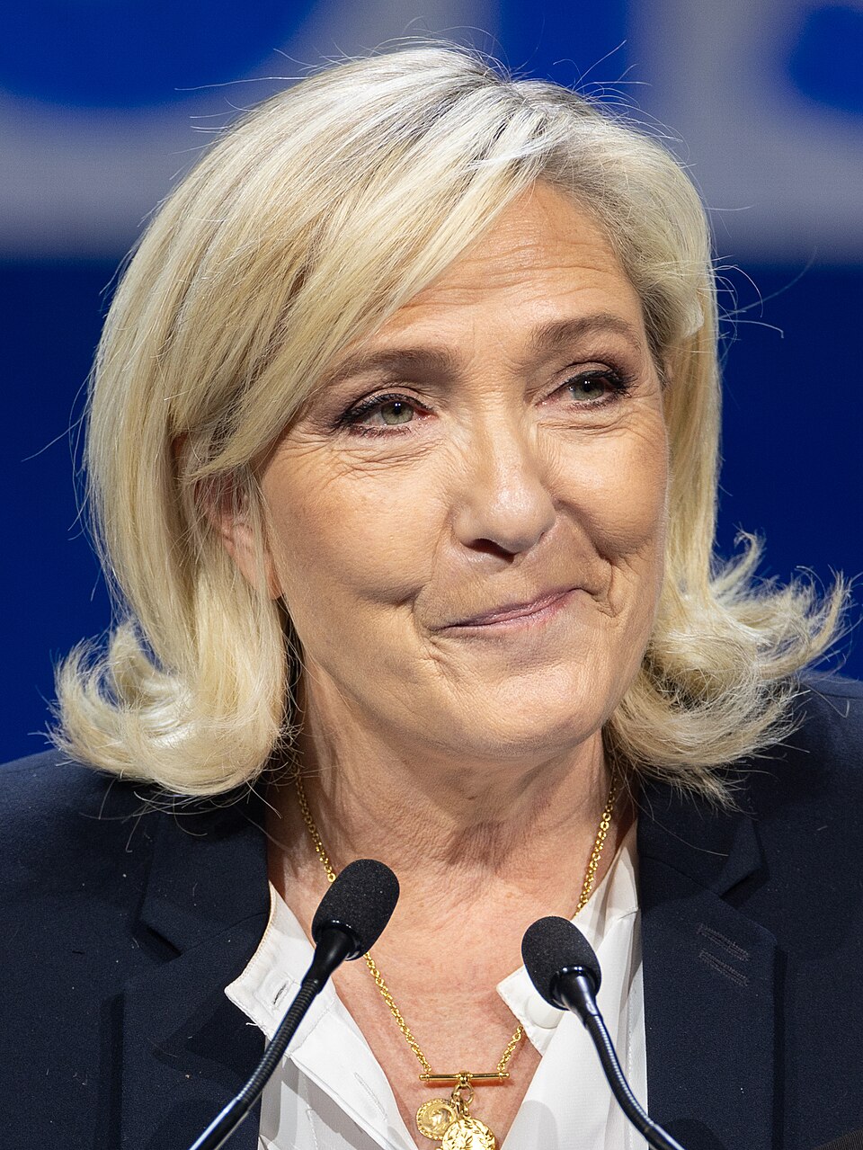 Marine Le Pen, Personnalité politique