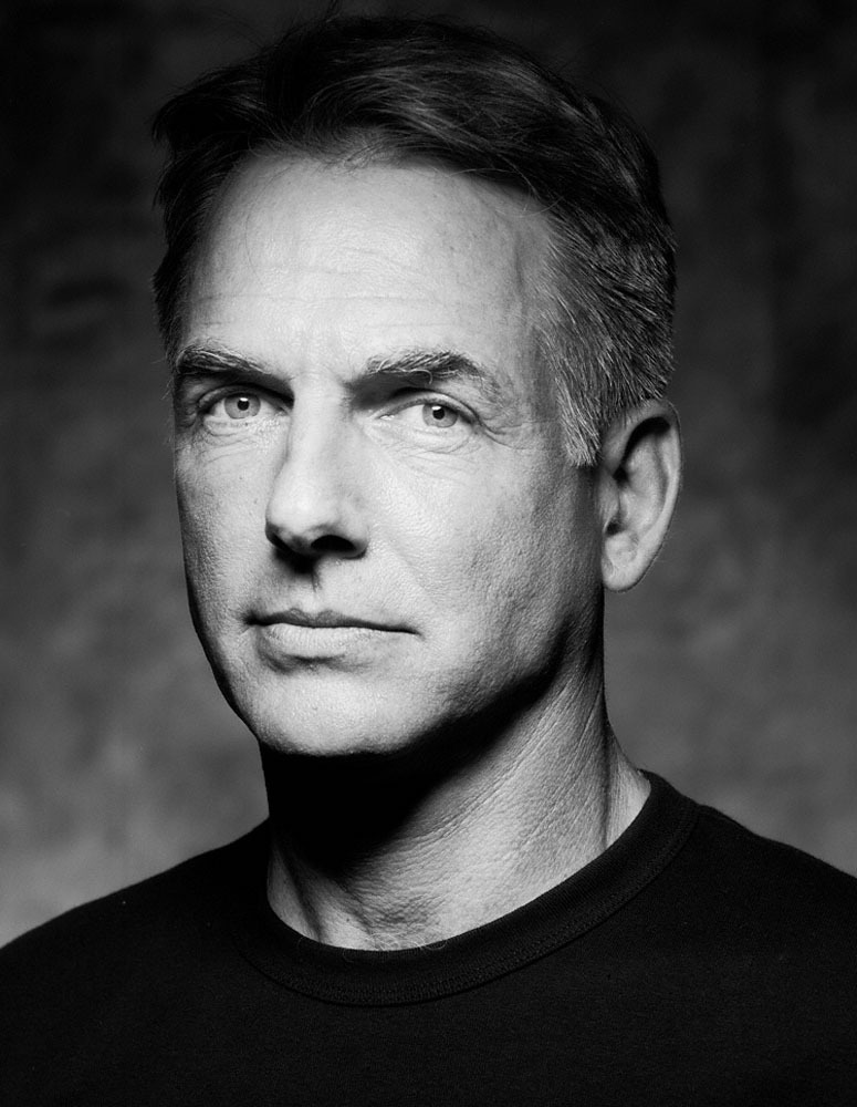 Mark Harmon, Acteur