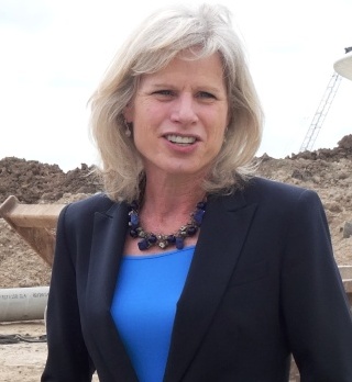 Mary Burke, Personnalité politique
