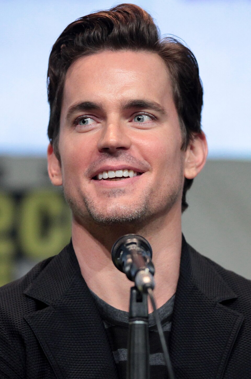 Matthew Bomer, Acteur