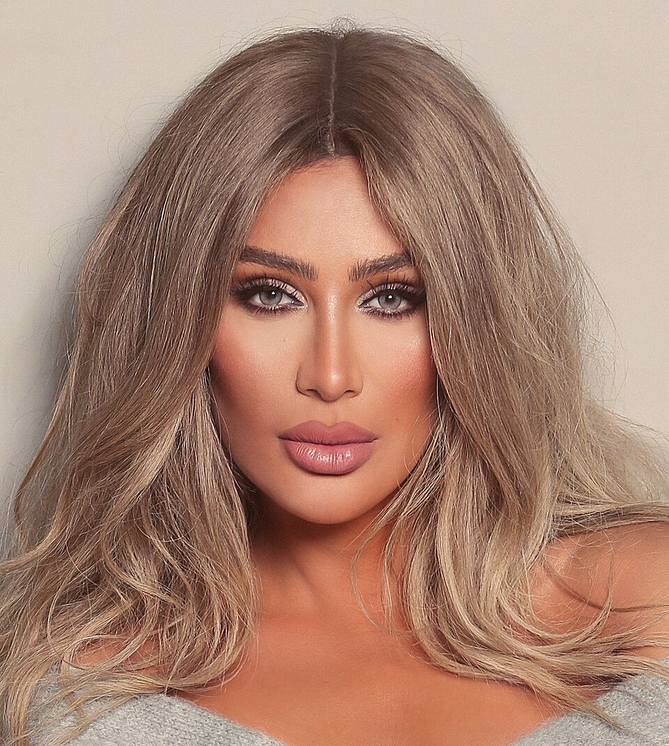 Maya Diab, Chanteur