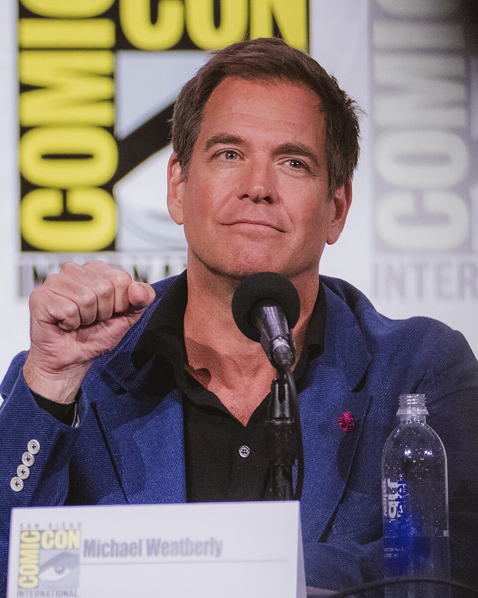 Michael Weatherly, Acteur