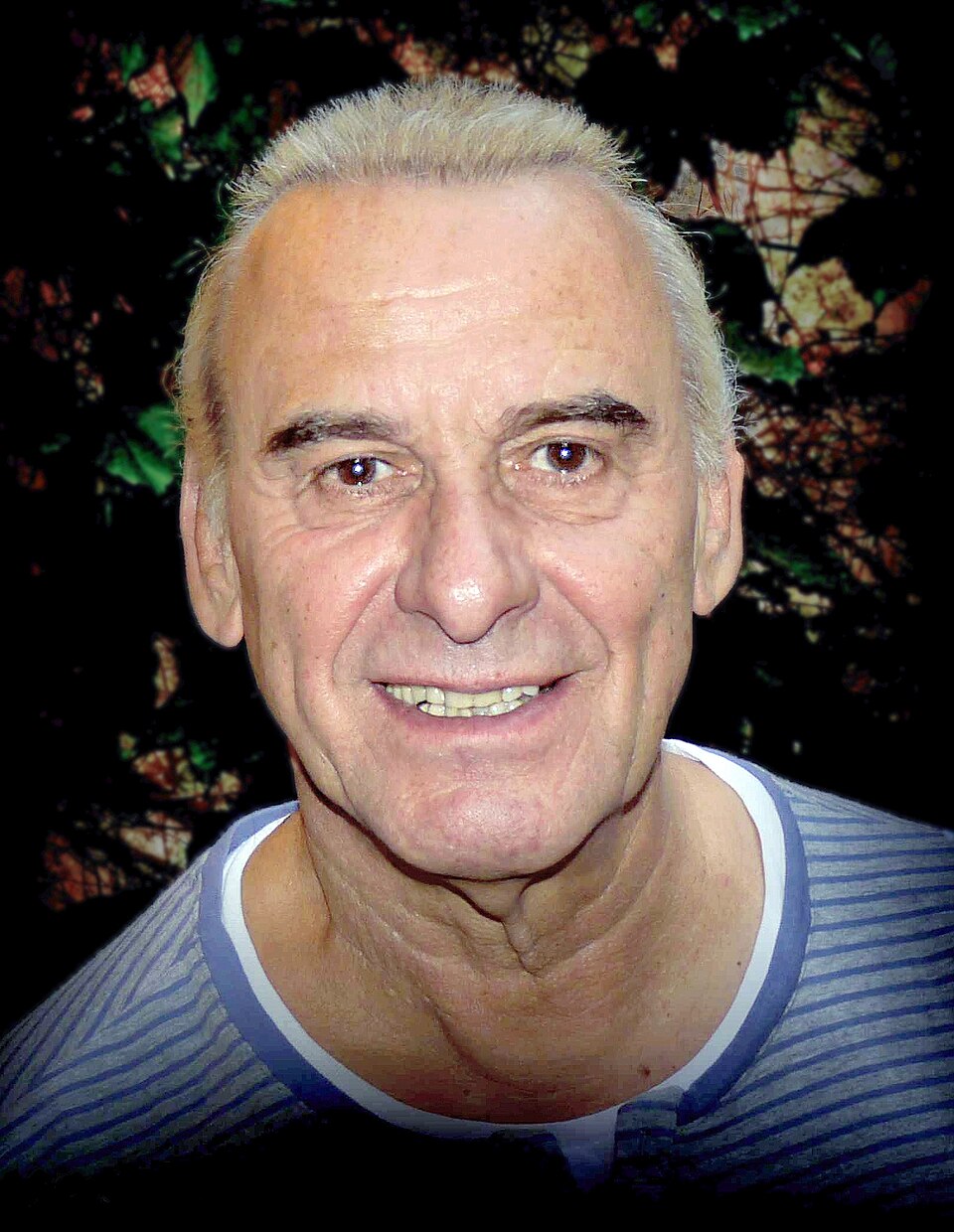 Michel Fugain, Chanteur