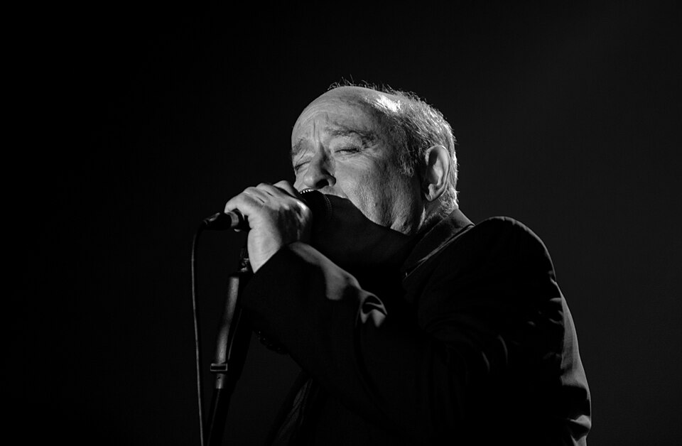 Michel Jonasz, Chanteur