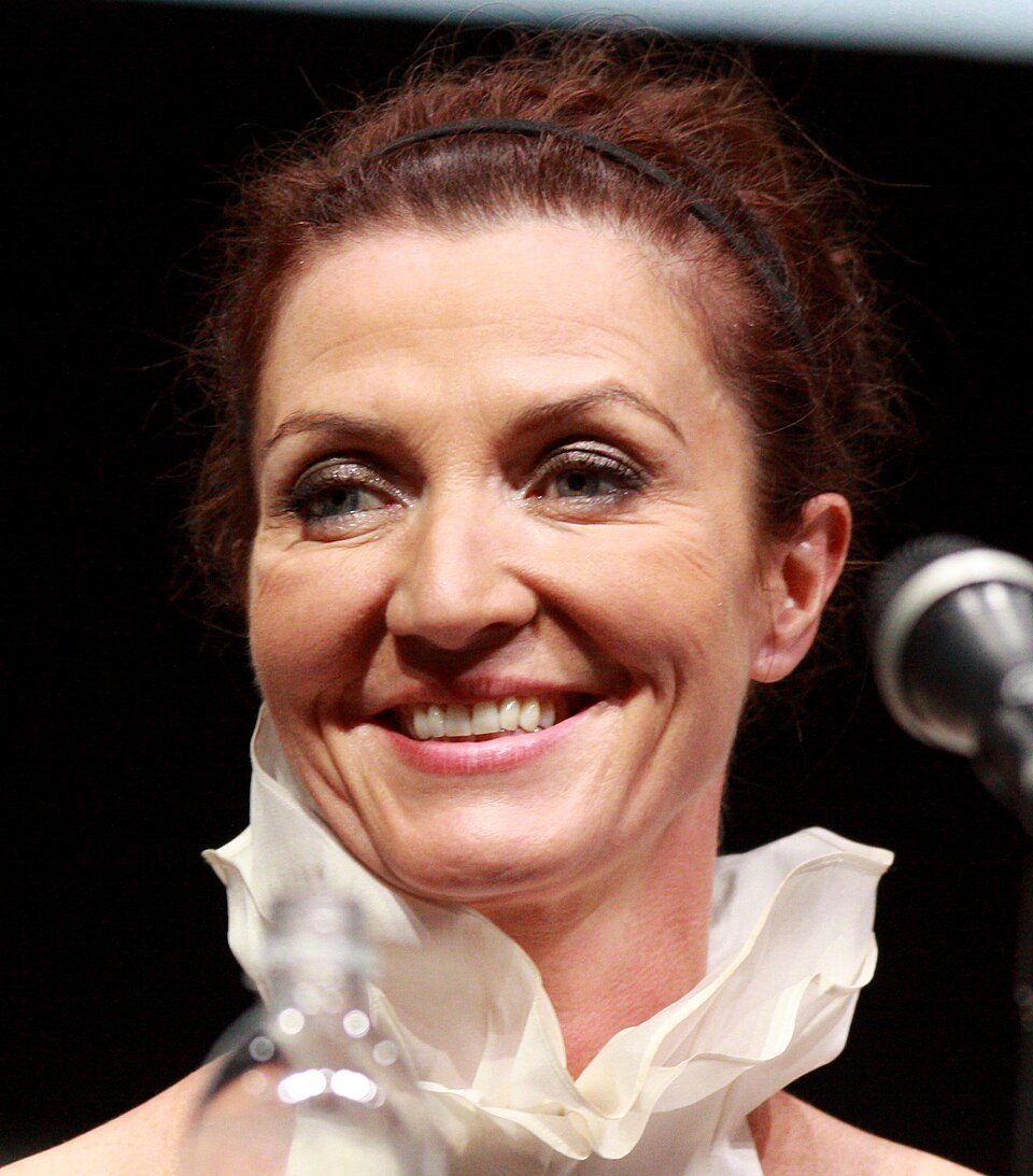 Michelle Fairley, Acteur