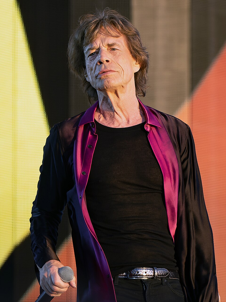 Mick Jagger, Chanteur