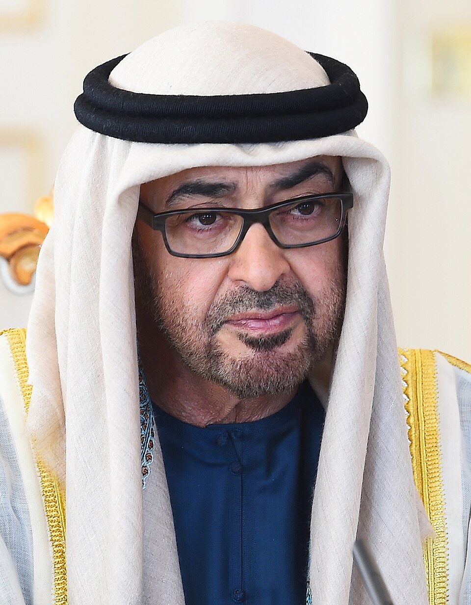Mohammed ben Zayed Al Nahyane, Personnalité politique