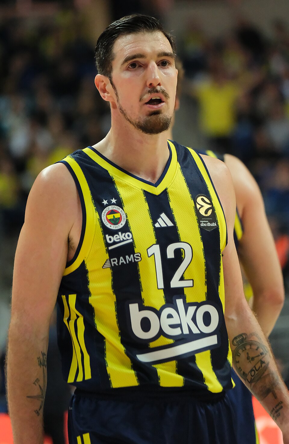Nando de Colo, Basketteur