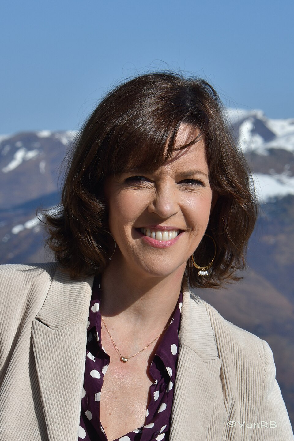 Nathalie Renoux, Journaliste