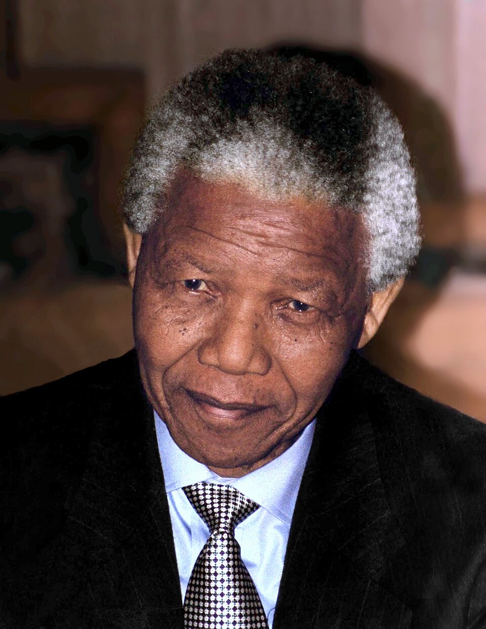 Nelson Mandela, Personnalité politique