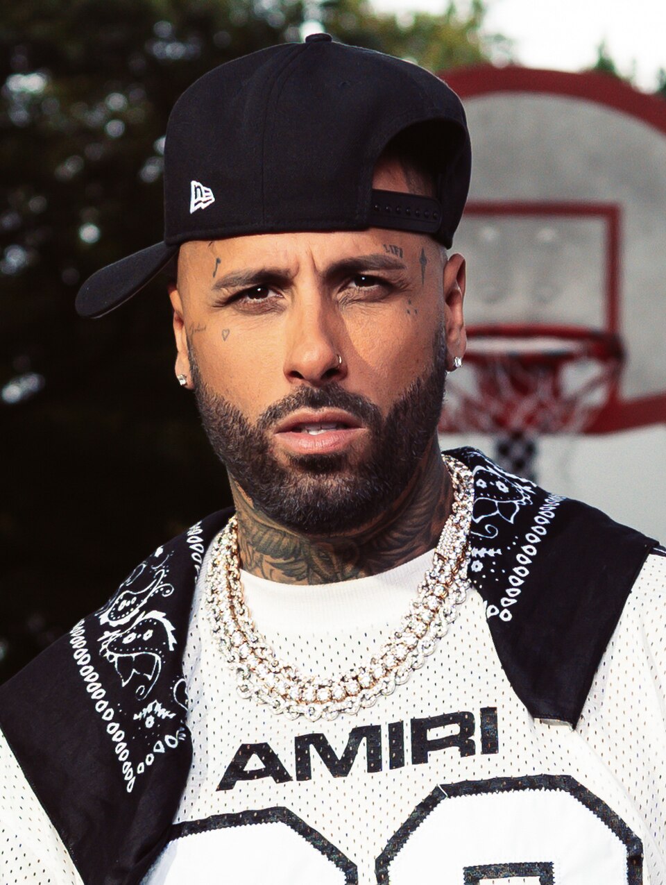 Nicky Jam, Chanteur