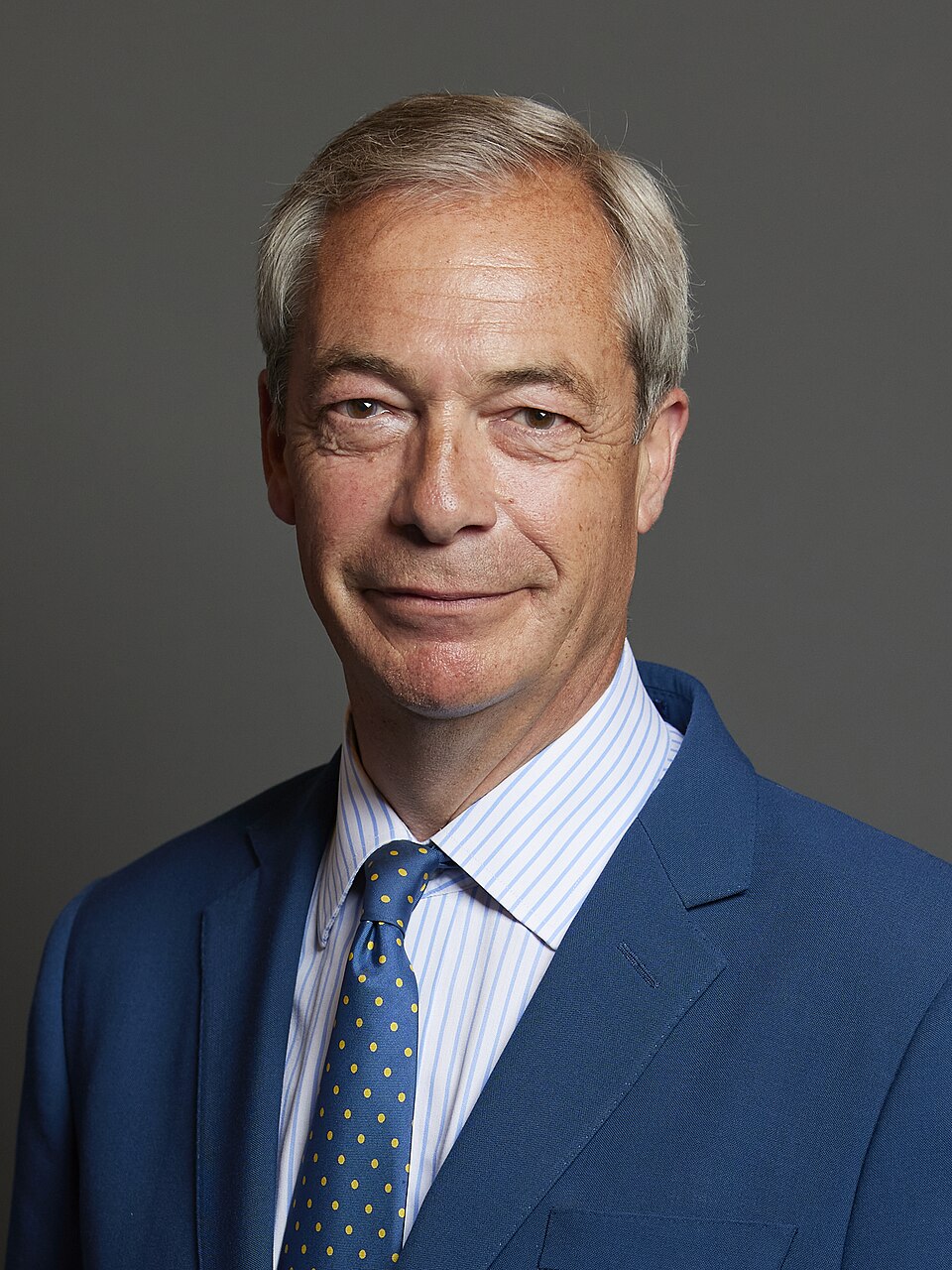 Nigel Farage, Personnalité politique