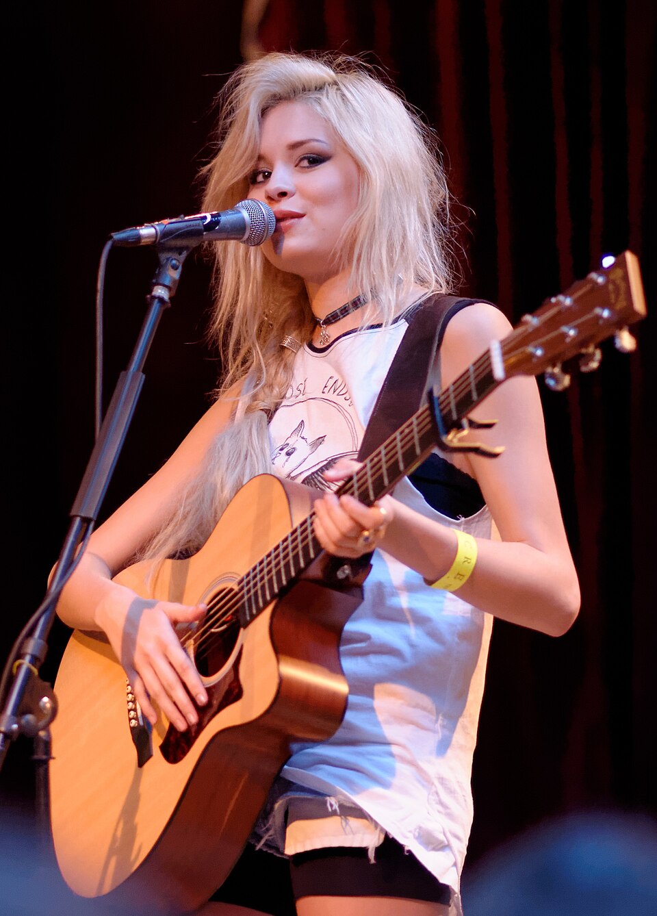 Nina Nesbitt, Chanteur