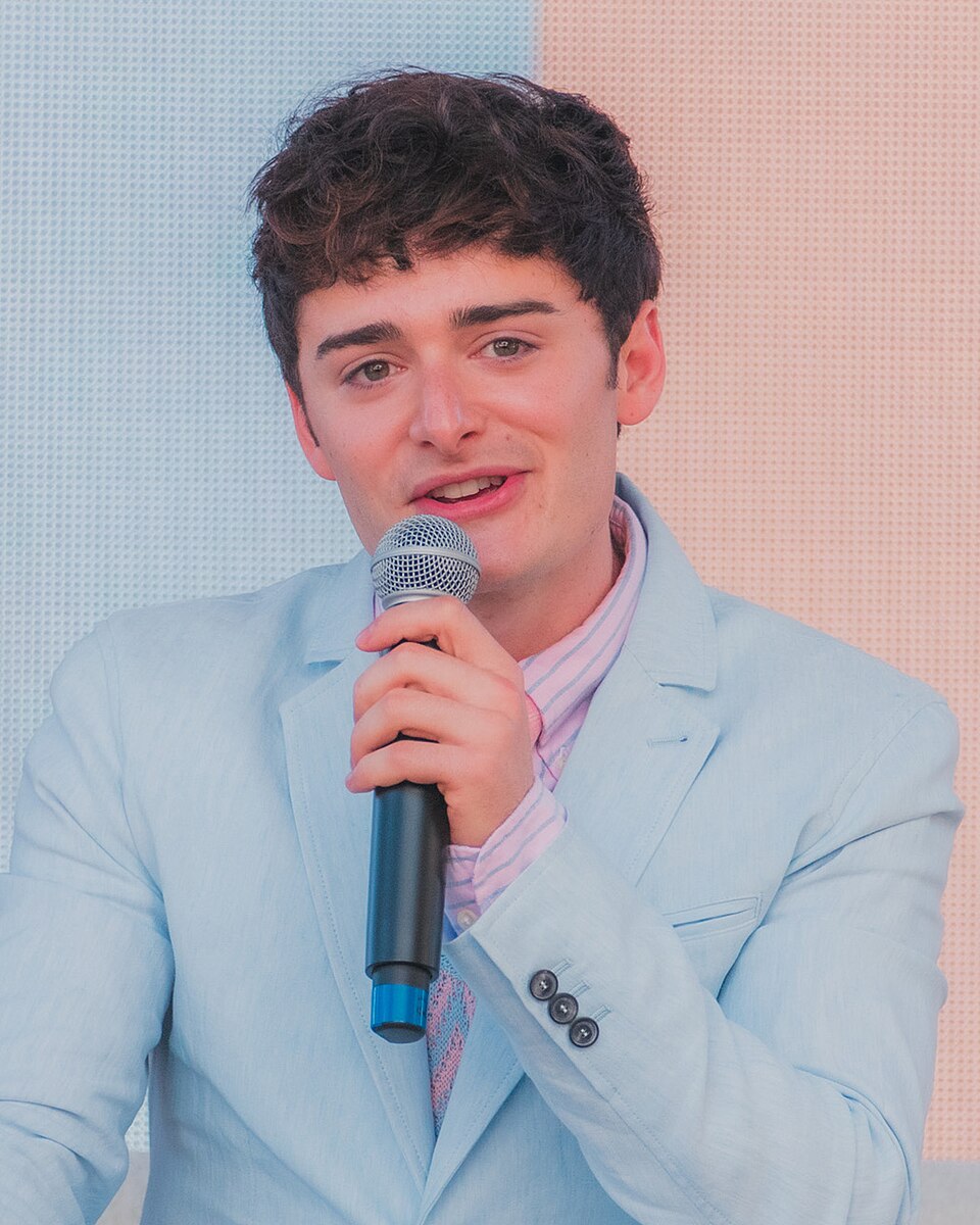 Noah Schnapp, Acteur