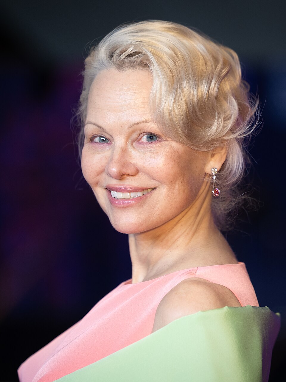 Pamela Anderson, Acteur