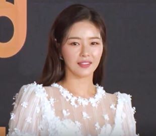 Park Ha-na, Acteur