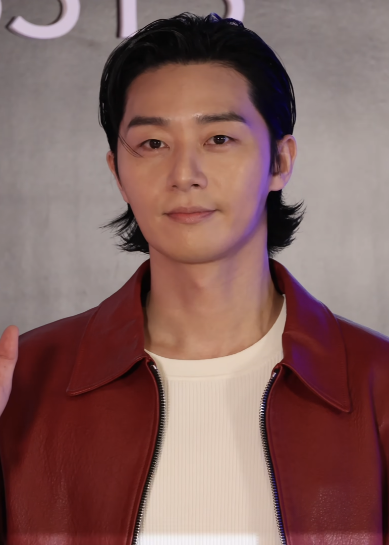 Park Seo-joon, Acteur